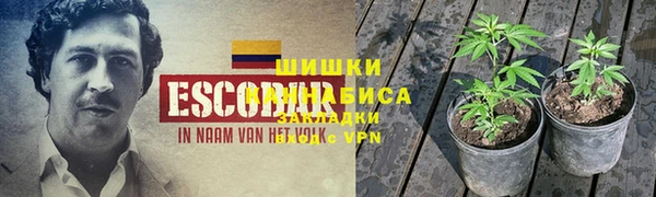 спиды Волоколамск