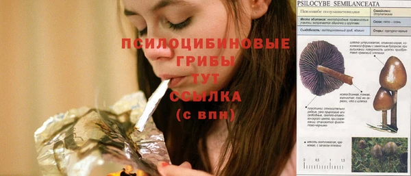 спиды Волоколамск