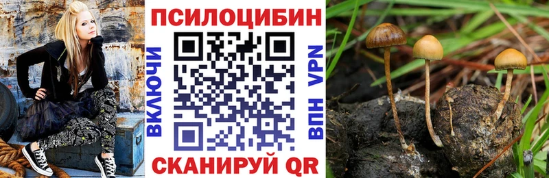 Псилоцибиновые грибы ЛСД  hydra зеркало  Элиста 