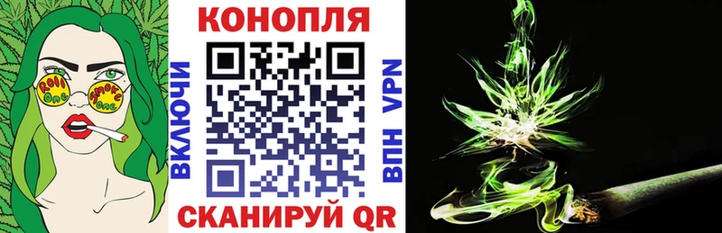 Марихуана планчик  дарнет шоп  Элиста 
